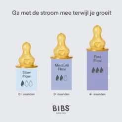 BIBS Flesspeen Rond - Medium Flow - 2 Pack - Latex><noscript><img width=