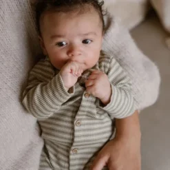 Dirkje Boxpak Light Faded Green 44><noscript><img width=