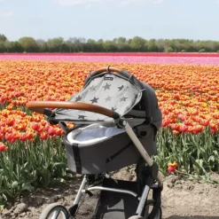 Dooky Black><noscript><img width=