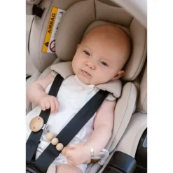 Dubatti By Römer Autostoel Baby-Safe Pro Storm Grey><noscript><img width=