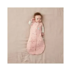 Ergopouch Cocoon Inbaker Slaapzak Daisies 2,5 Tog 6-12mnd><noscript><img width=
