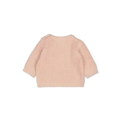 Feetje Sweater Gebreid The Magic is in You Roze 56> Truitjes