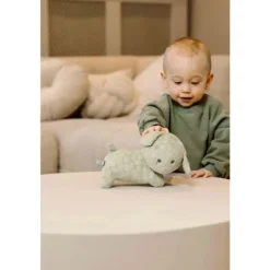 Nijntje Snuffie Knuffel - Green Flower - 25 cm> Pluche / Knuffels